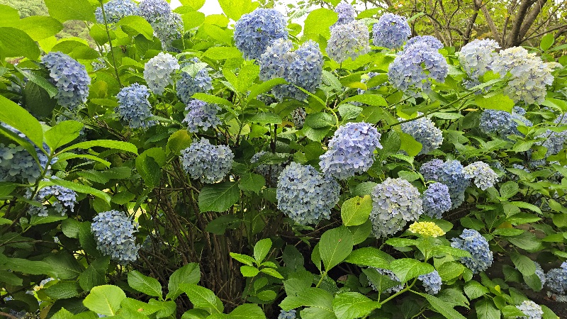 4B616B616F54616C6B5F32303236303732315F3134303030383135391784611047-74.jpg