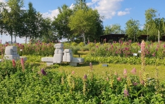  ��� ��� ���� ������ ���� �� ���� ����