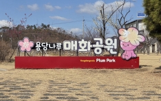 ���� �������� ��, ���� ��糪�� ��ȭ����