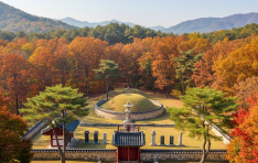 ��(��)�� ��(��)�� �Ǿ ������ ��ǥ ���� '������'